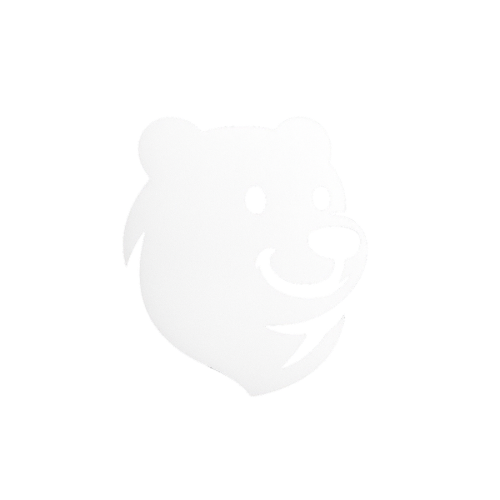 The Black Bear 